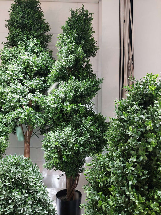 Boxwood Spiral Topiary Tree 140cm