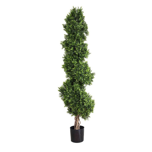 Boxwood Spiral Tree 190cm