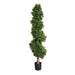 Boxwood Spiral Tree 190cm