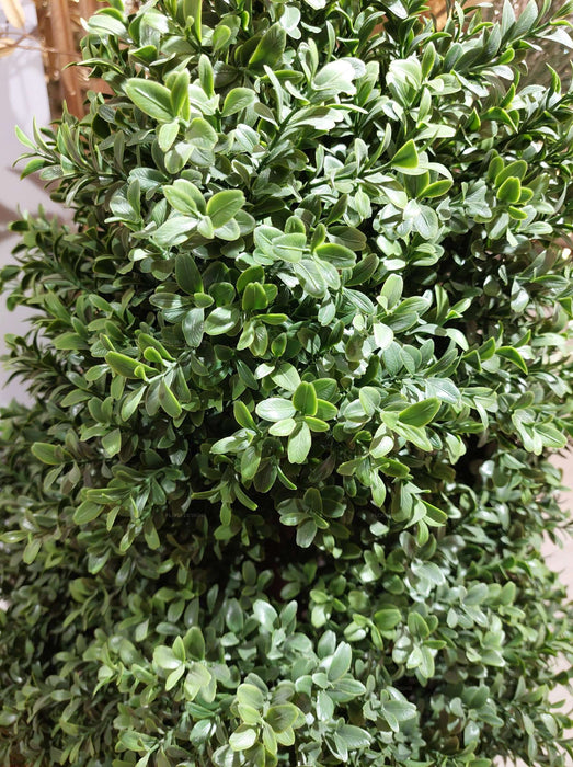 Boxwood Topiary Cone 90cm