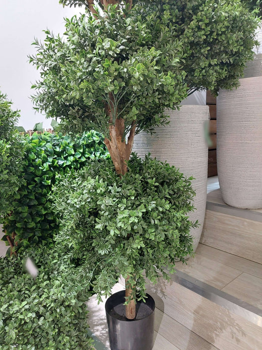 Boxwood Triple Ball Topiary Tree 120cm
