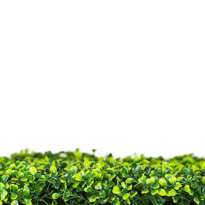 Mixed Boxwood Hedge Panel Screen UV Resistant 100cm