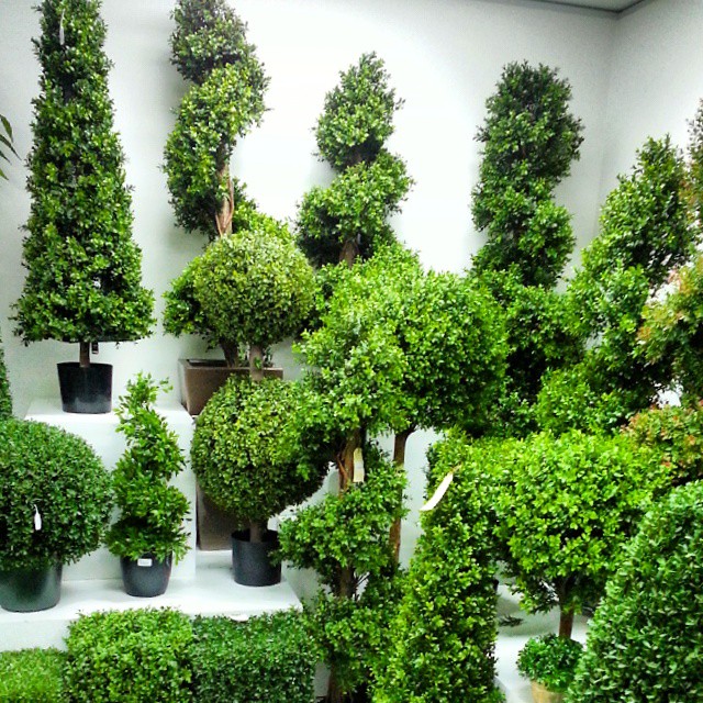 Boxwood Ball Topiary Tree 75cm