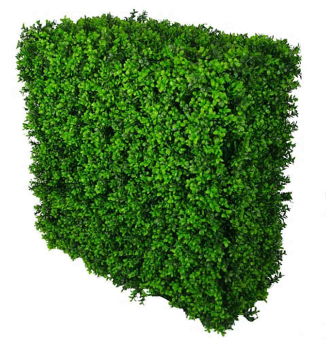 Portable Buxus Hedge UV Resistant 75cm x 75cm
