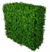 Portable Buxus Hedge UV Resistant 75cm x 75cm