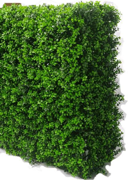 Portable Buxus Hedge UV Resistant 75cm x 75cm