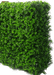 Portable Buxus Hedge UV Resistant 75cm x 75cm