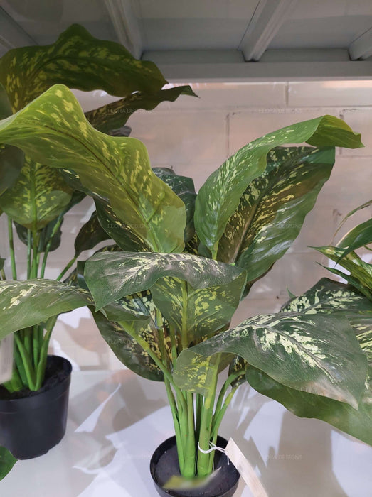 Cane Plant In Pot Real Touch 63cm Set of 2
