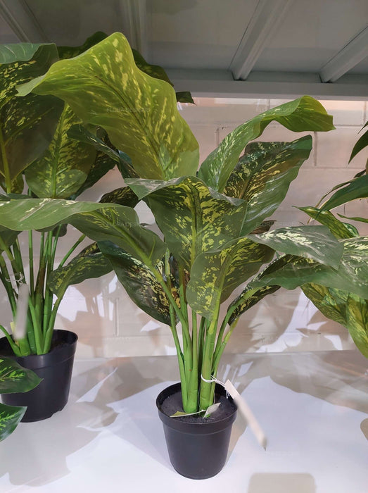Cane Plant In Pot Real Touch 63cm Set of 2