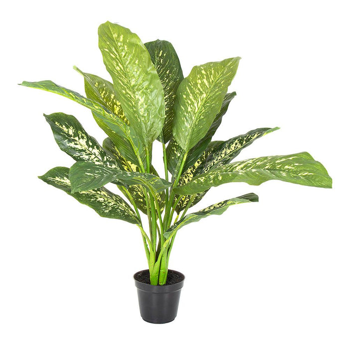 Cane Plant In Pot Real Touch 63cm Set of 2