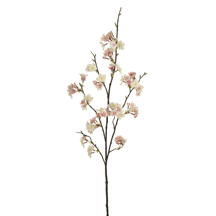 Cherry Blossom Cream Pink 105cm Pack of 12