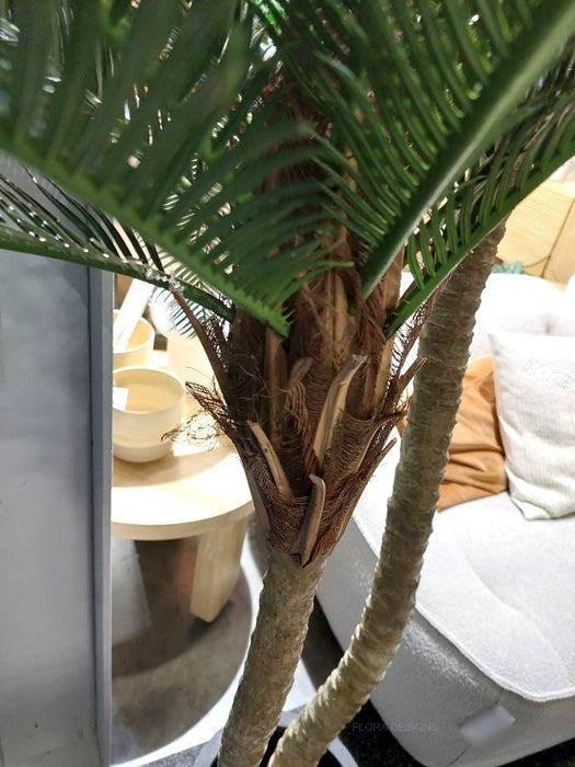 Cycus Palm Tree 220cm