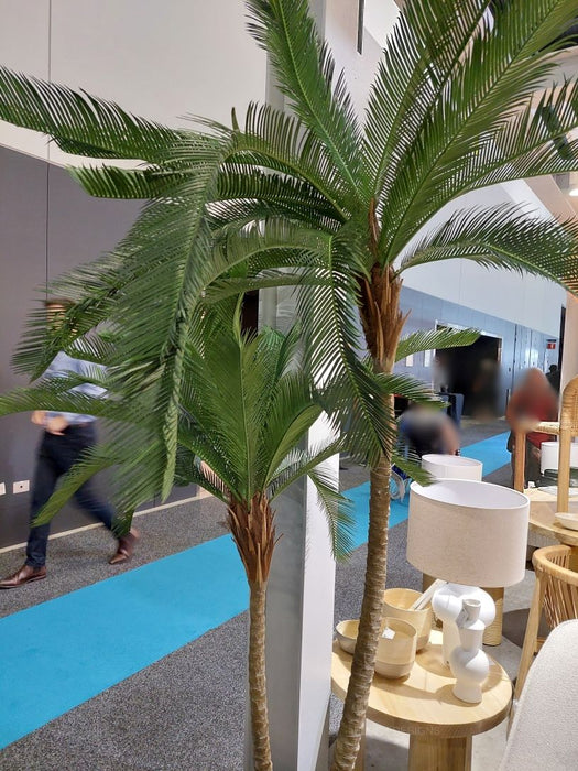 Cycus Palm Tree 220cm