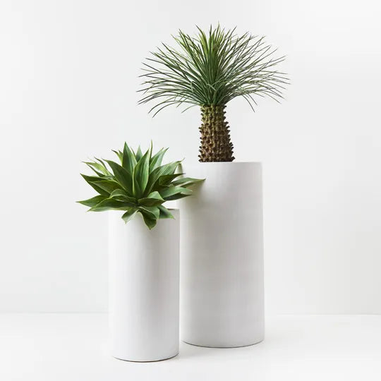 Cylinder Tall White Pot Set of Two - 80cm