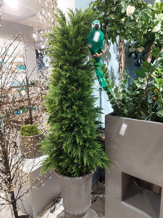Cypress Pine Tree 180cm