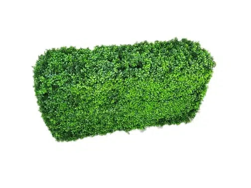 Deluxe Portable Buxus Bright UV Resistant 100cm Long x 50cm High