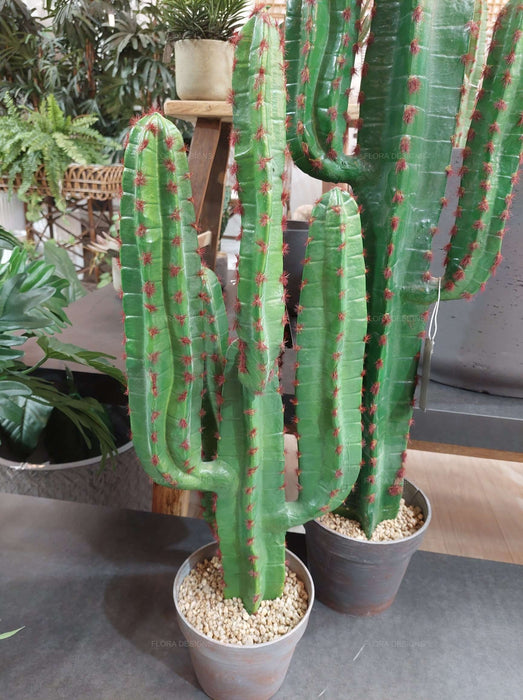 Desert Cactus 82cm