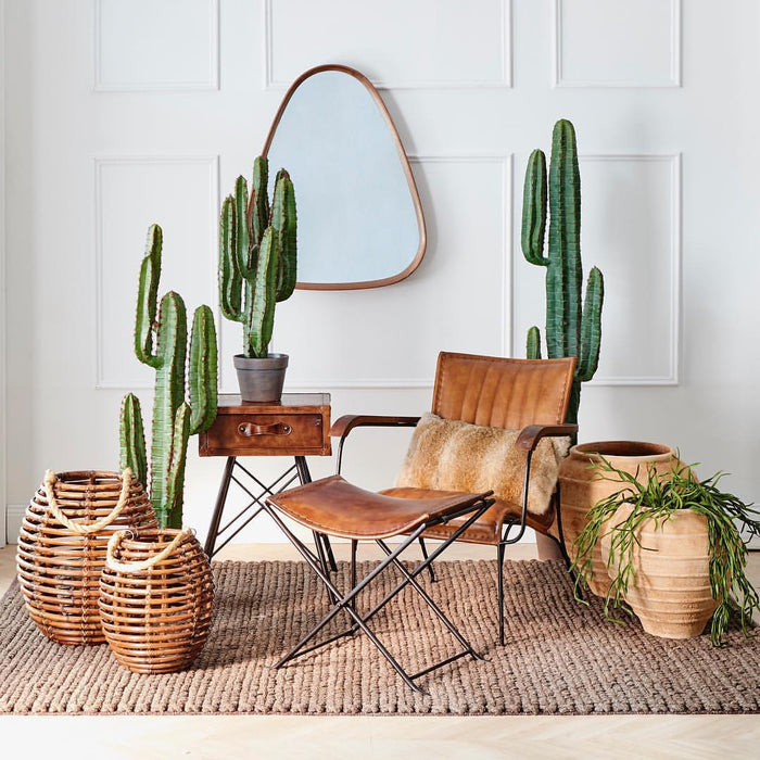 Desert Cactus XL 115cm