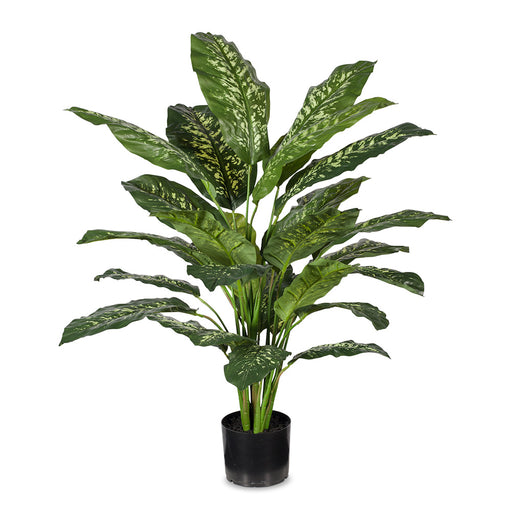 Dieffenbachia Plant Green Yellow 111cm Pack of 2