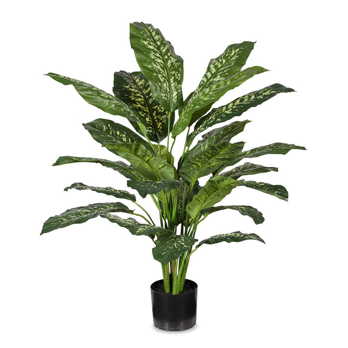 Dieffenbachia Plant Green Yellow 111cm Pack of 2