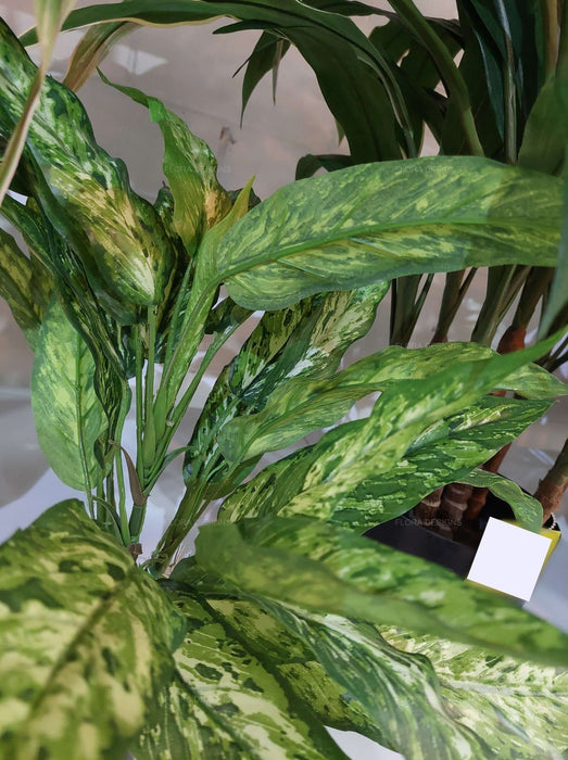 Dracaena Plant In Pot Real Touch 39cm Set of 6