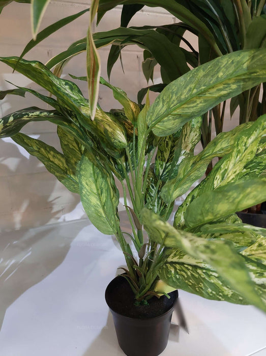 Dracaena Plant In Pot Real Touch 39cm Set of 6