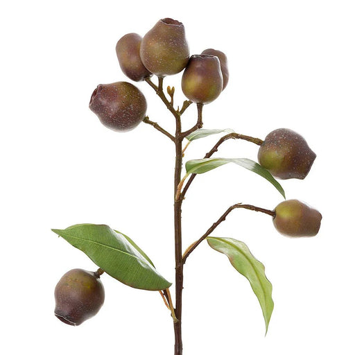 Eucalyptus Burgundy 67cm Green Pack of 12