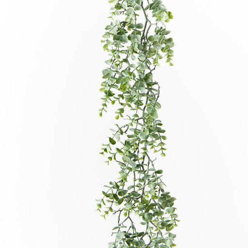 Eucalyptus Garland Pack of 6