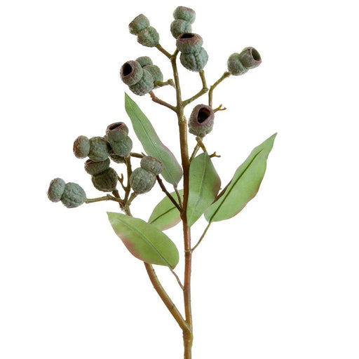 Eucalyptus Gumnut Spray 64cm Dark Green Pack of 12