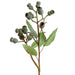 Eucalyptus Gumnut Spray 64cm Dark Green Pack of 12