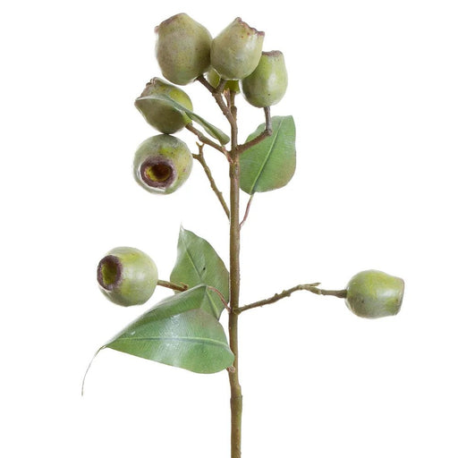 Eucalyptus Gumnut Spray 67cm Green Pack of 12
