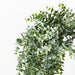 Eucalyptus Hanging Bush Pack of 6