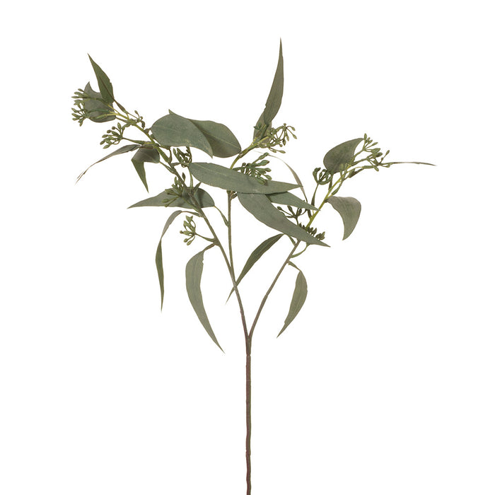 Eucalyptus Leaf and Seed Grey Green 60cm Pack of 12