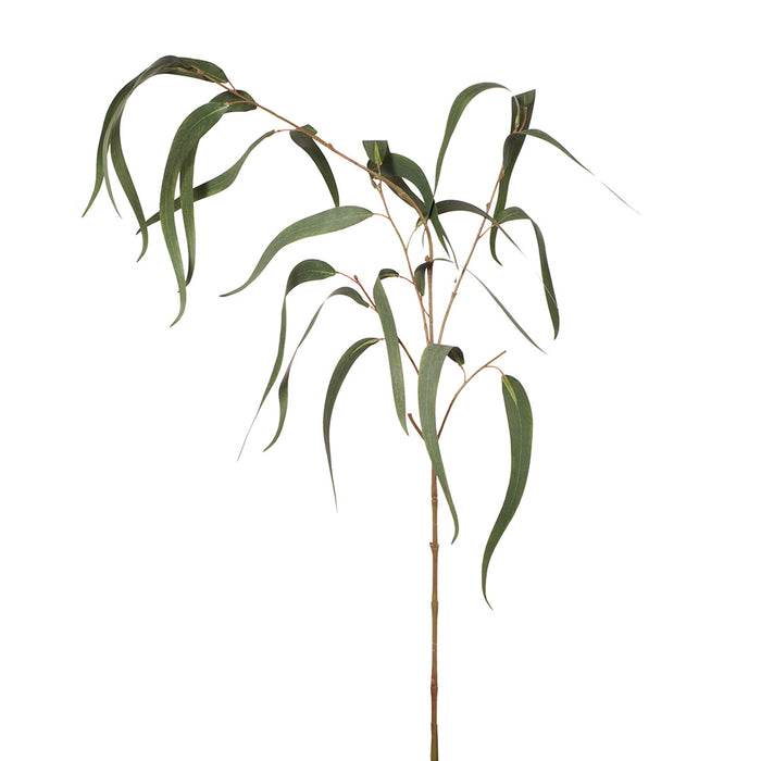 Eucalyptus Long Leaf Spray 96cm Grey Green Pack of 12