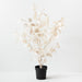 Eucalyptus Seed Plant Ivory 128cm