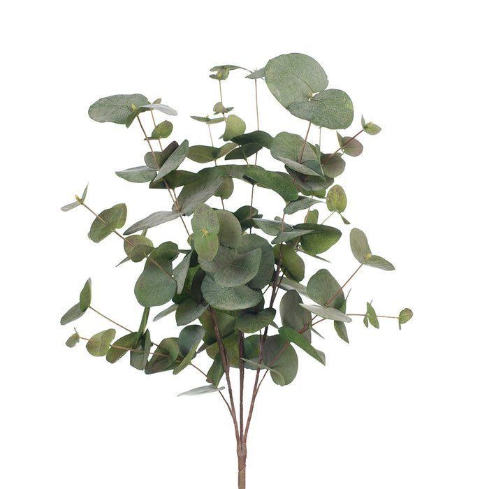 Eucalyptus Silver Dollar Bush Green Grey 55cm Pack of 6