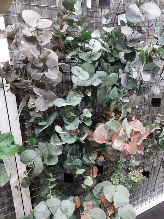 Eucalyptus Silver Dollar Bush Green Grey 55cm Pack of 6