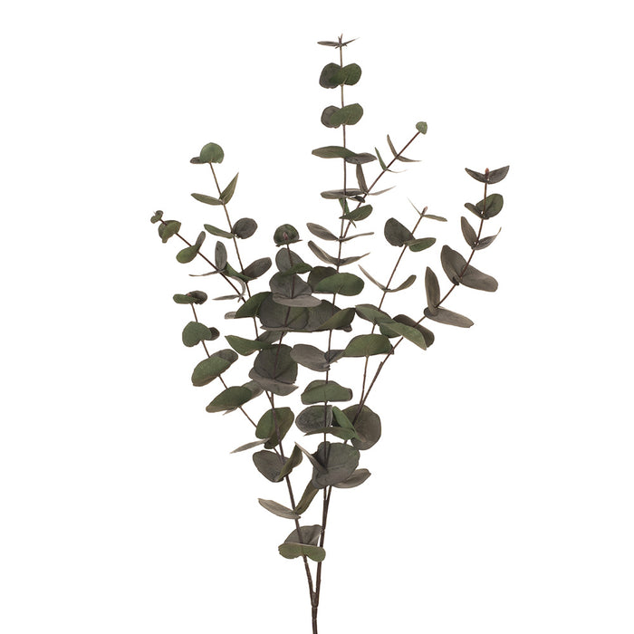 Eucalyptus Silver Dollar Dark Green 101cm Pack of 12