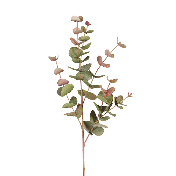 Eucalyptus Silver Dollar Grey Red 86cm Pack of 12