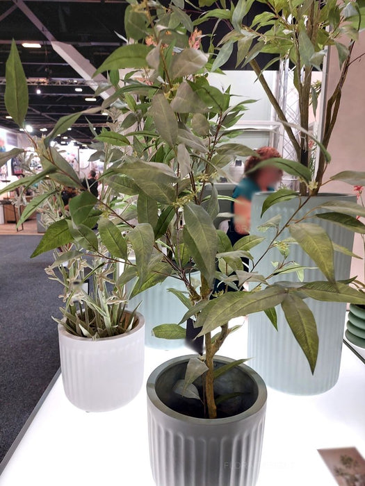 Eucalyptus Tree 90cm Grey Green Set of 2