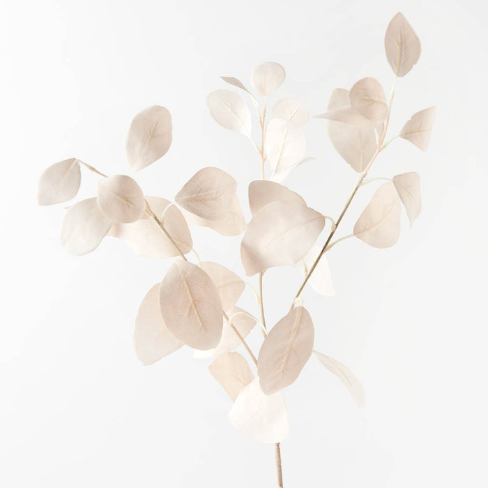 Eucalyptus Silver Dollar 78cm Ivory Pack of 12