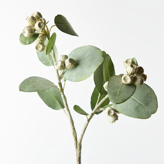 Eucalyptus Tetragona Spray Green 61cm Set of 12