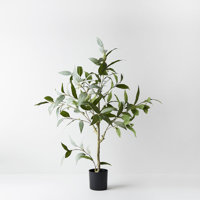Eucalyptus Tree 90cm Grey Green Set of 2