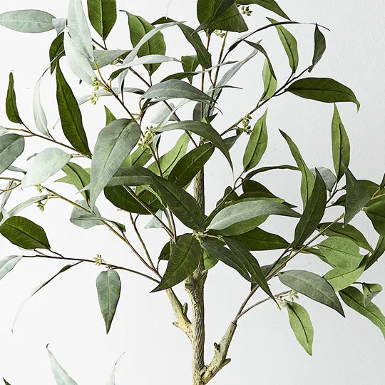 Eucalyptus Tree 90cm Grey Green Set of 2