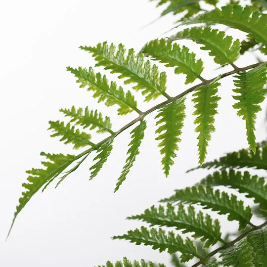 Fern Cinnamon in Pot Green 96cm Pack of 2