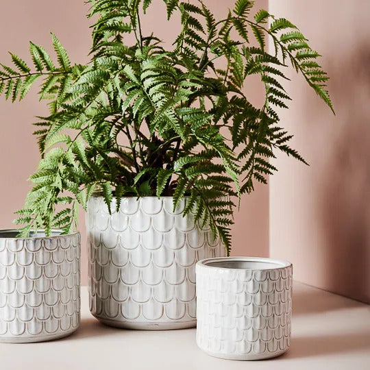 Fern Cinnamon in Pot Green 96cm Pack of 2