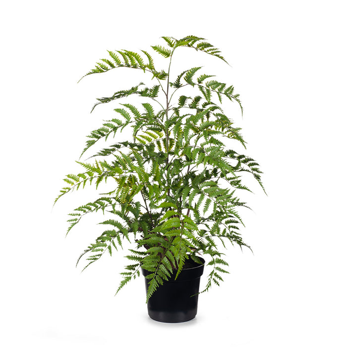 Fern Cinnamon in Pot Green 96cm Pack of 2
