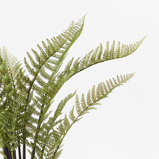 Fern Mountain Plant Green 117cm Pack of 2