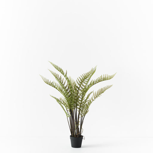 Fern Mountain Plant Green 117cm Pack of 2