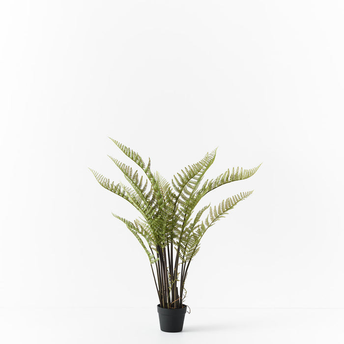 Fern Mountain Plant Green 117cm Pack of 2